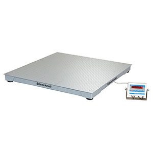 DSB Floor Scale System